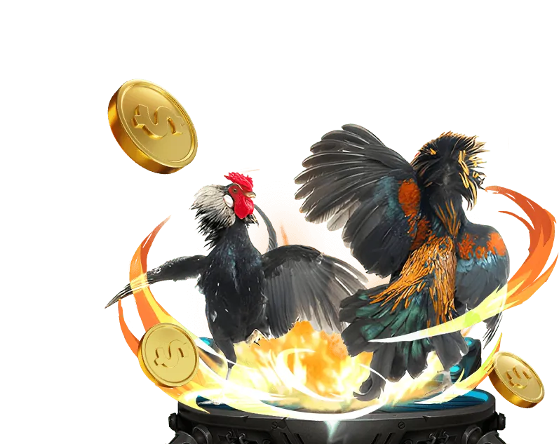 Đá Gà Trực Tuyến Kubet 11